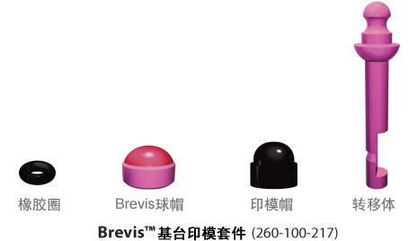 Brevis™ Abutment Restorative Components
